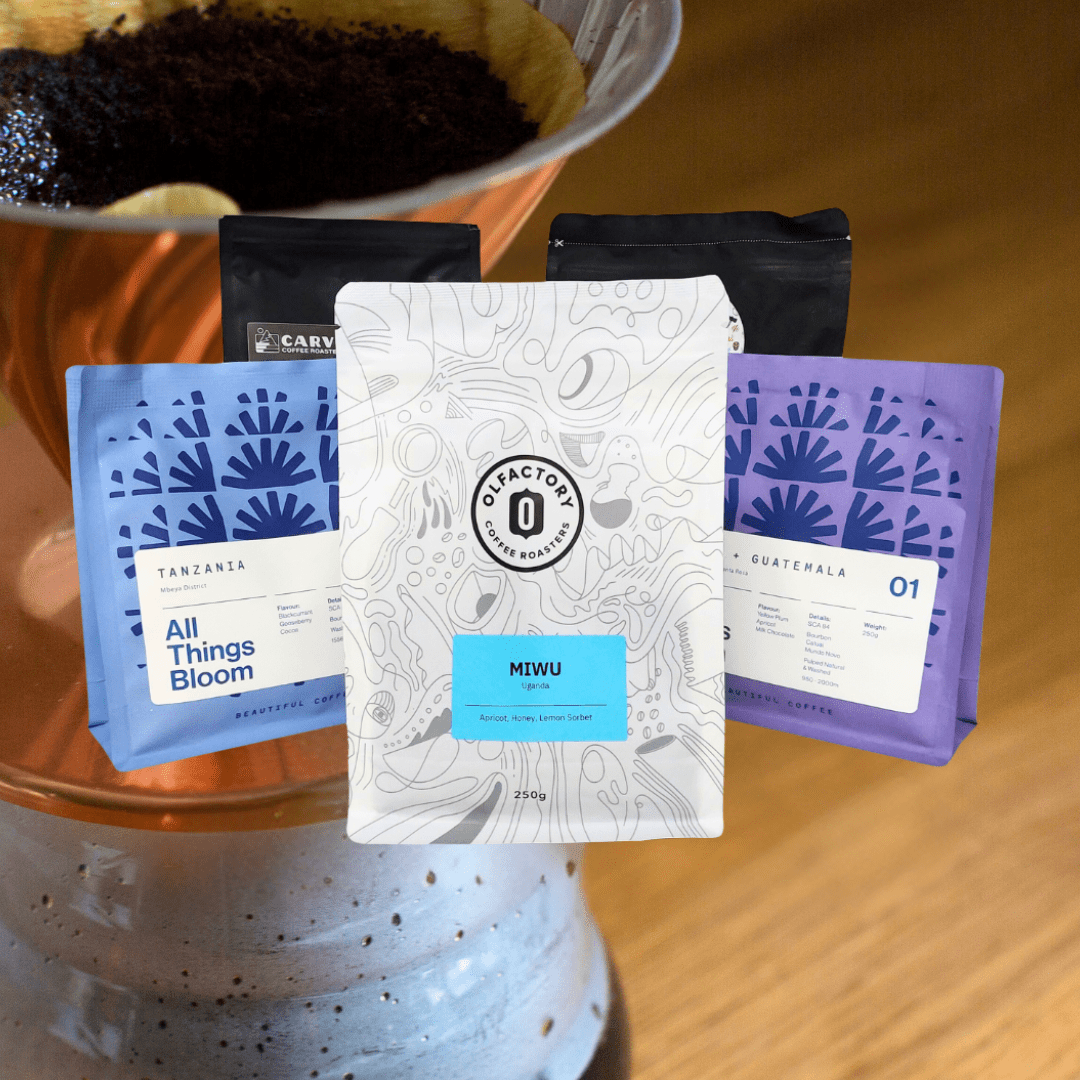 FILTER Subscription 5x 250g Coffees Monthly (FREE DELIVERY) - Dog & Hat Coffee