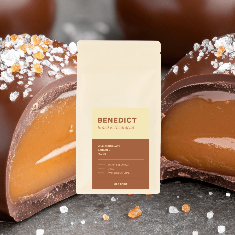 Old Spike - Benedict Blend - Brazil & Nicaragua (TRADITIONAL) - Dog & Hat Coffee