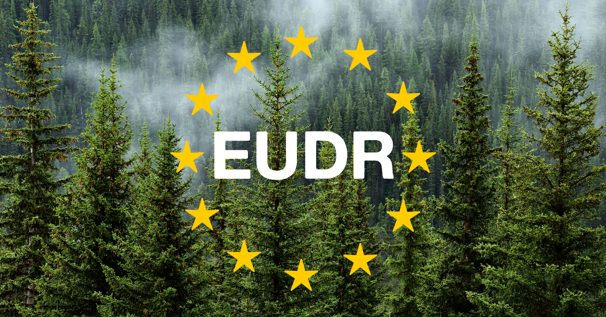 alt-=eudr for uk forests and what this means for coffee