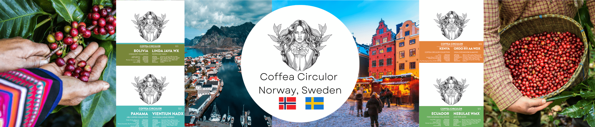 Coffea Circulor Dialling-in Guide - Dog & Hat Coffee