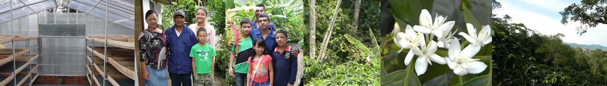 Direct Trade & Why You Should Care - Dog & Hat Coffee