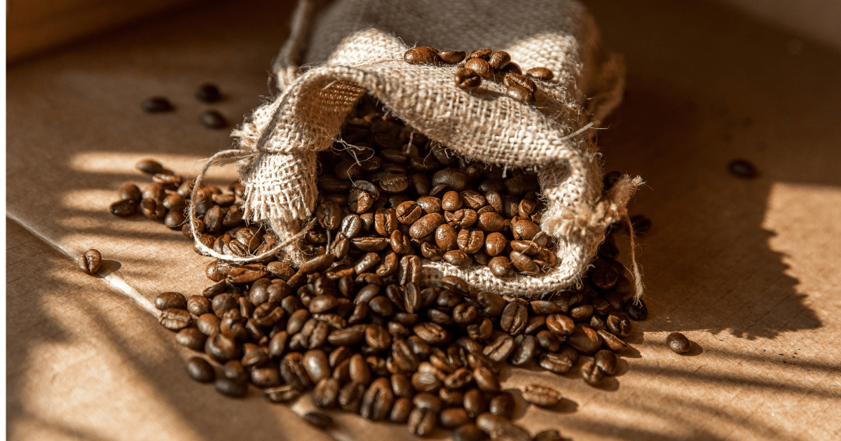 Robusta - Information Saturday 27th 10am. - Dog & Hat Coffee