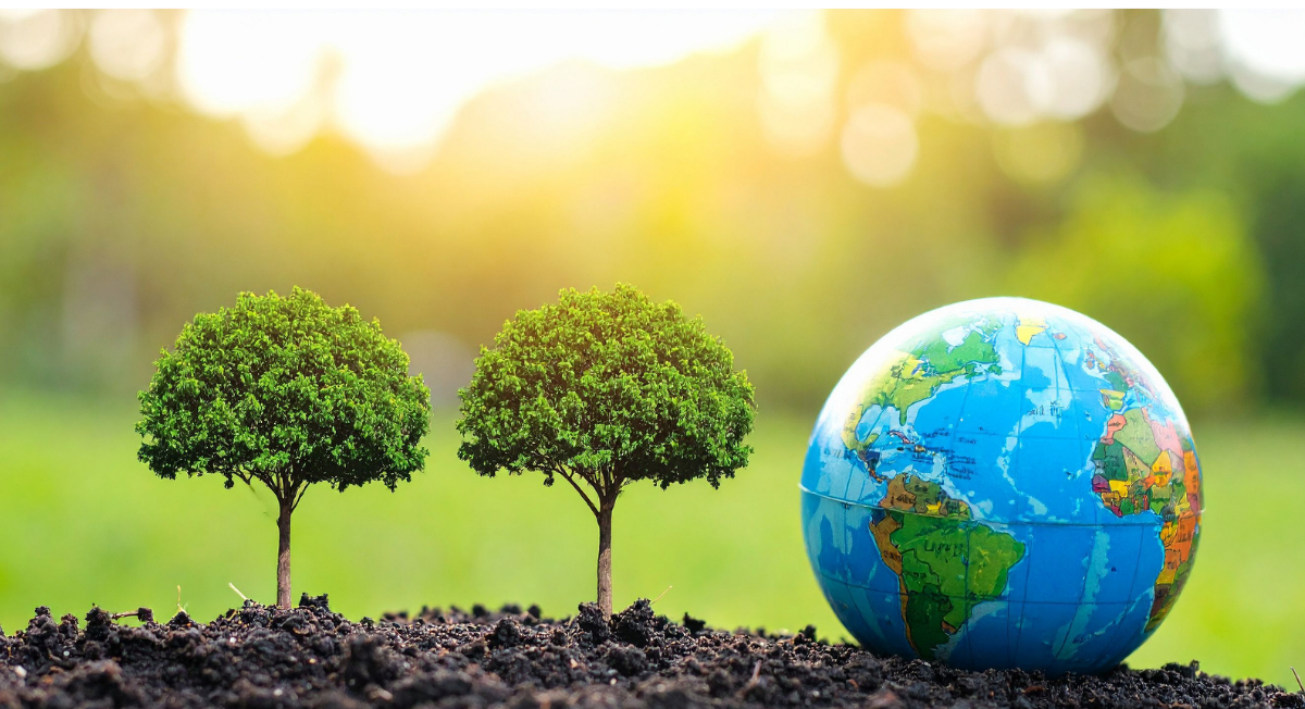 The Bigger Picture- Sustainability at Dog & Hat - Dog & Hat Coffee Club