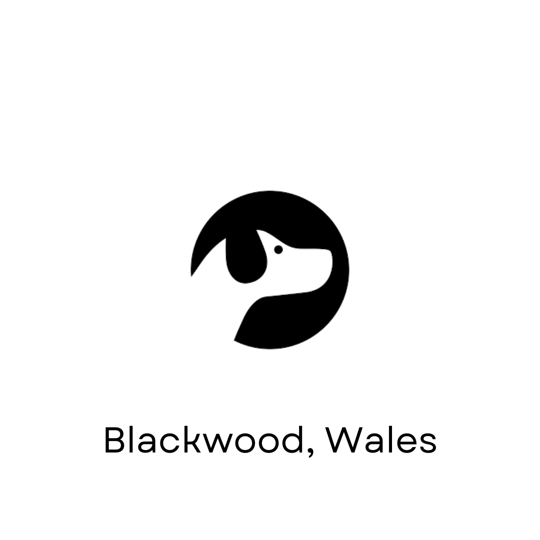 Big Dog - Dog & Hat Coffee