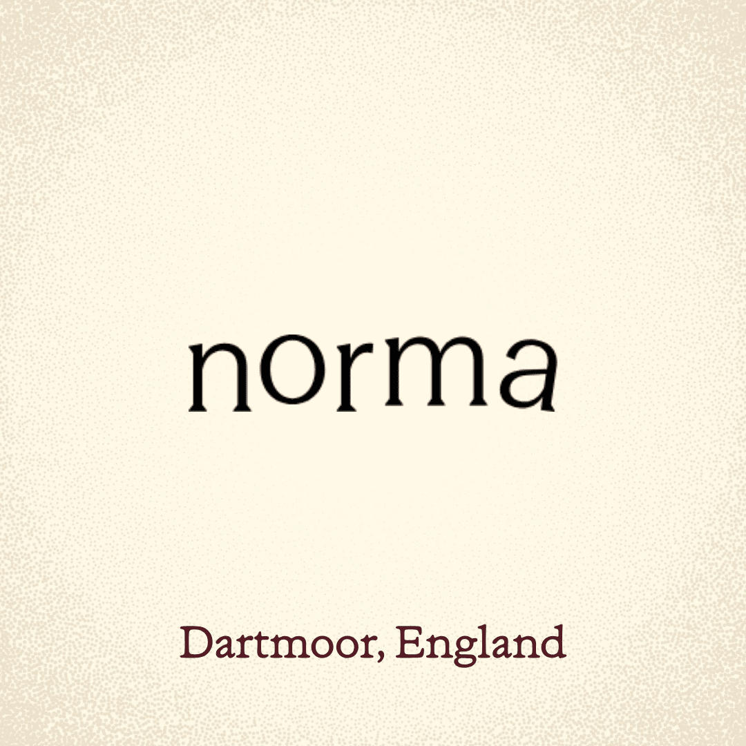 norma - Dog & Hat Coffee Club