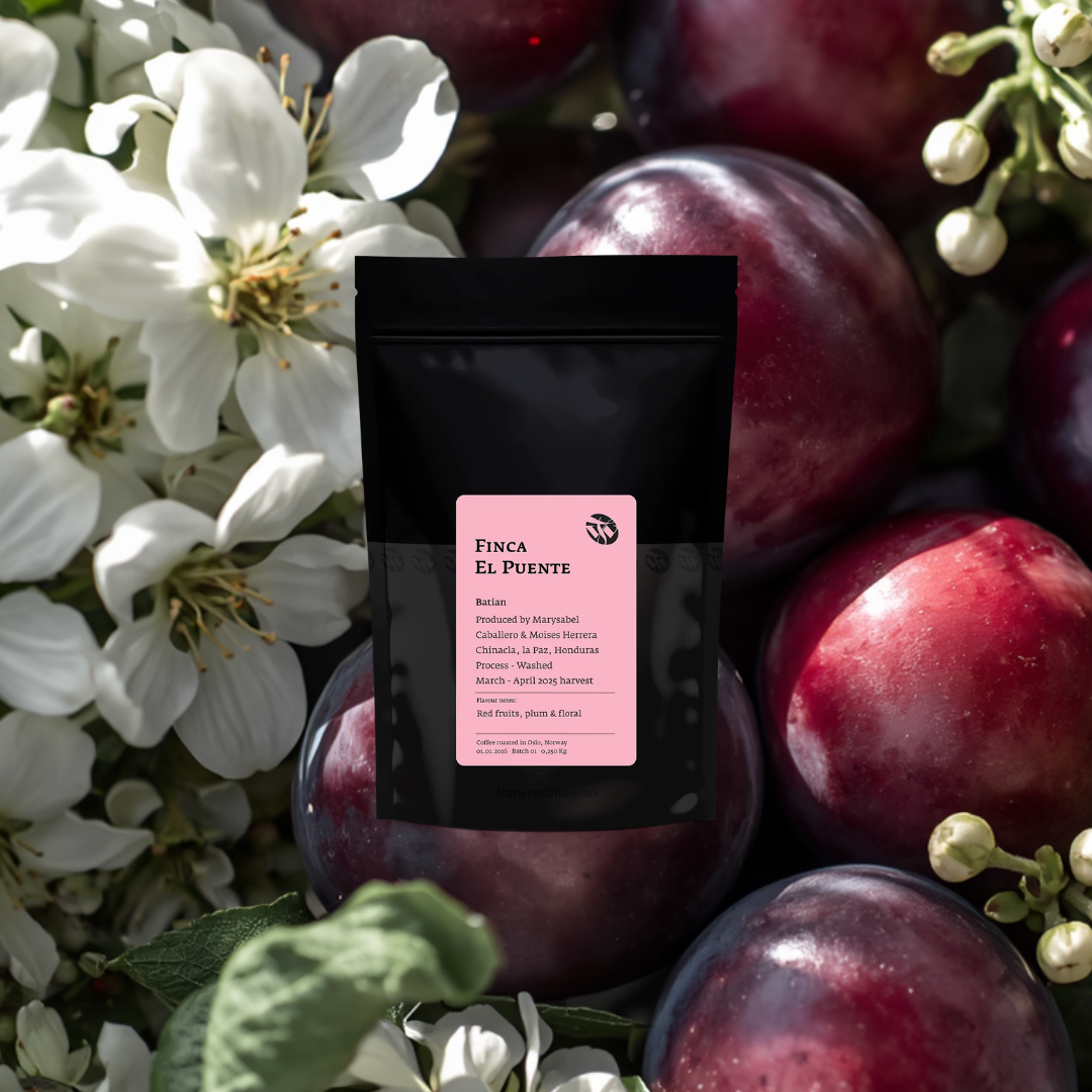 Tim Wendelboe - Finca El Puente Batian - Honduras (FILTER)