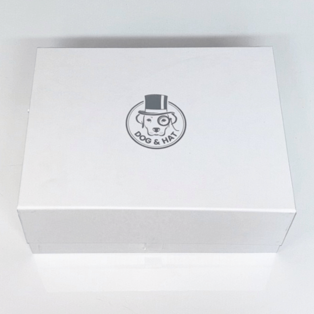 AeroPress Go Christmas Gift Box - Dog & Hat Coffee