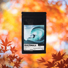 Carve - Guatemala (Decaf) [shipping from the 16th] (Extra bag) - Dog & Hat Coffee