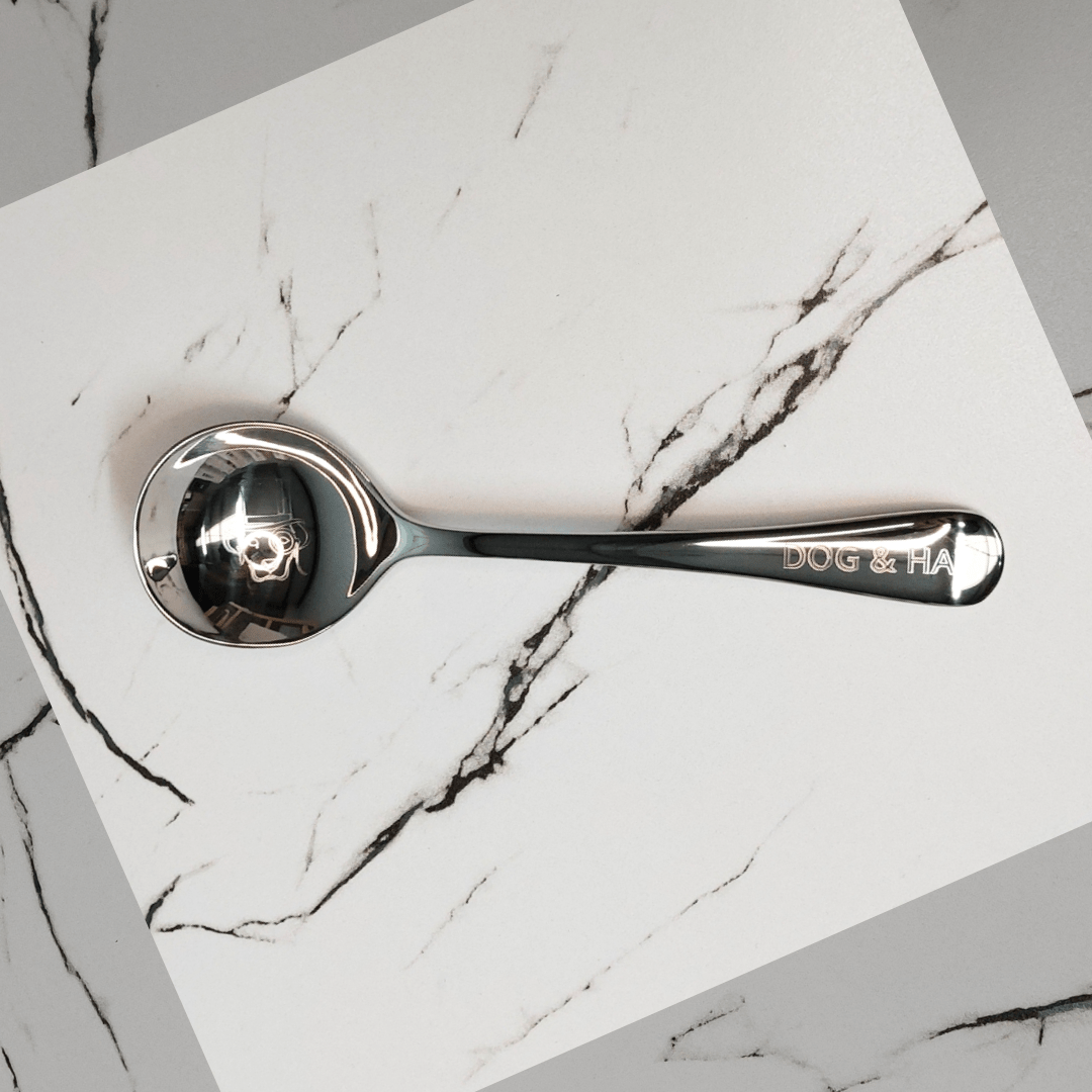 Cupping Spoon - Dog & Hat Coffee