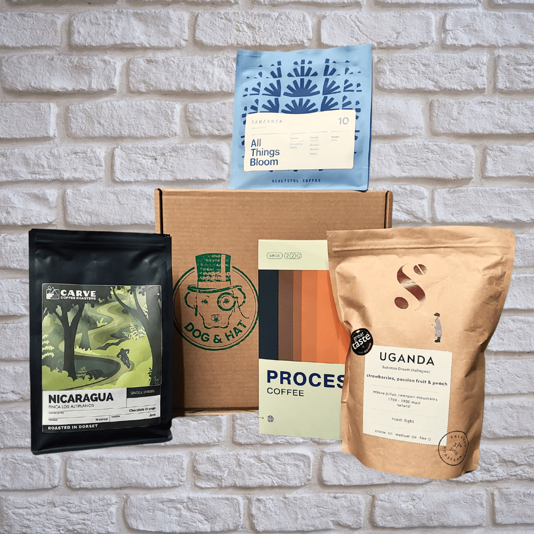 FILTER Subscription 4x 250g Coffees Monthly (FREE DELIVERY) - Dog & Hat Coffee