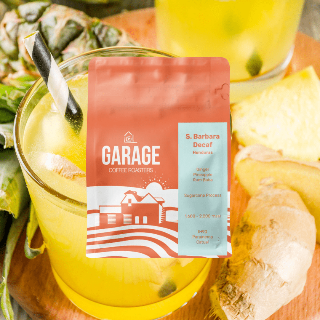 Garage Coffee Roasters - Santa Babara - Honduras (DECAF) - Dog & Hat Coffee