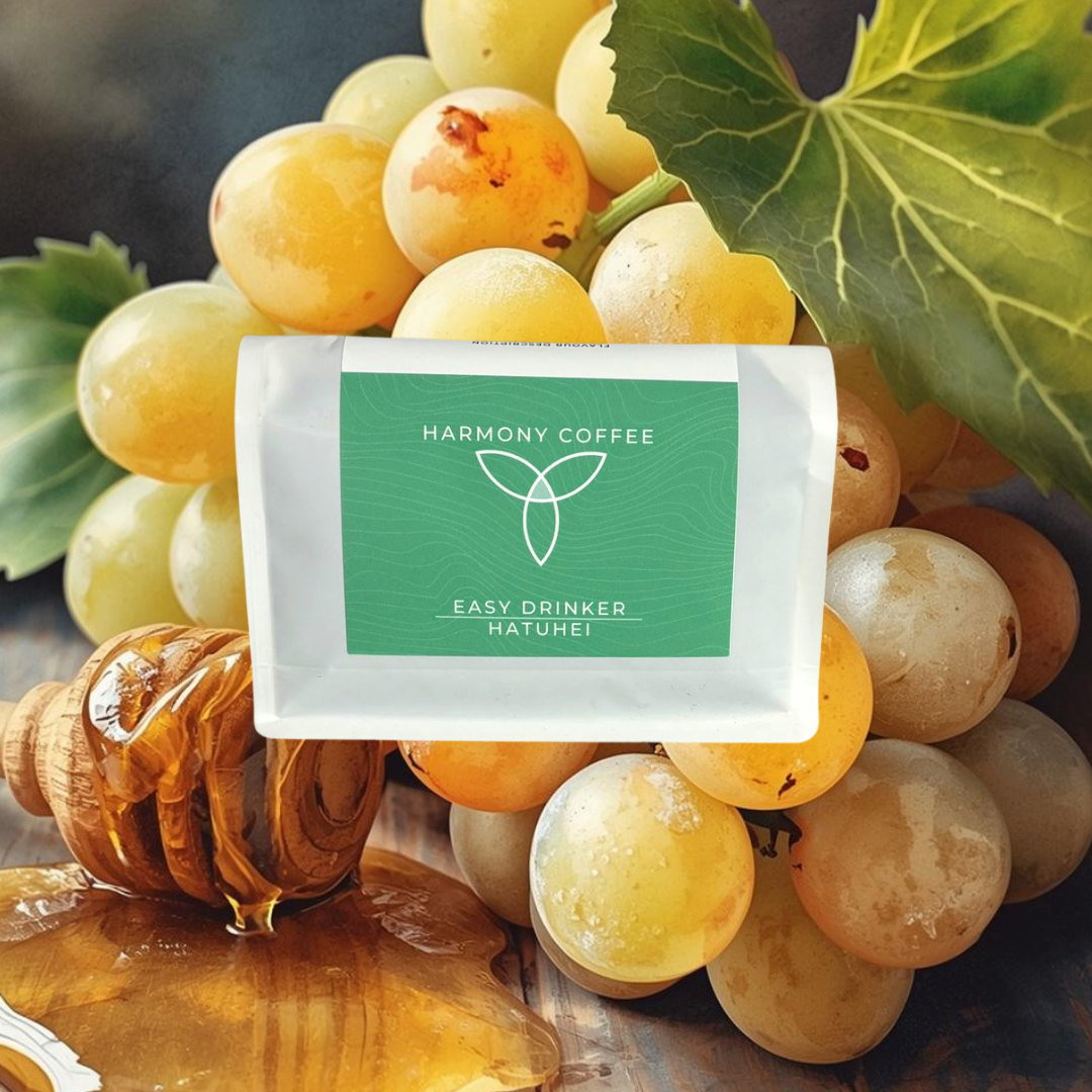 Harmony - Hatuhei - East Timor 250g - Dog & Hat Coffee