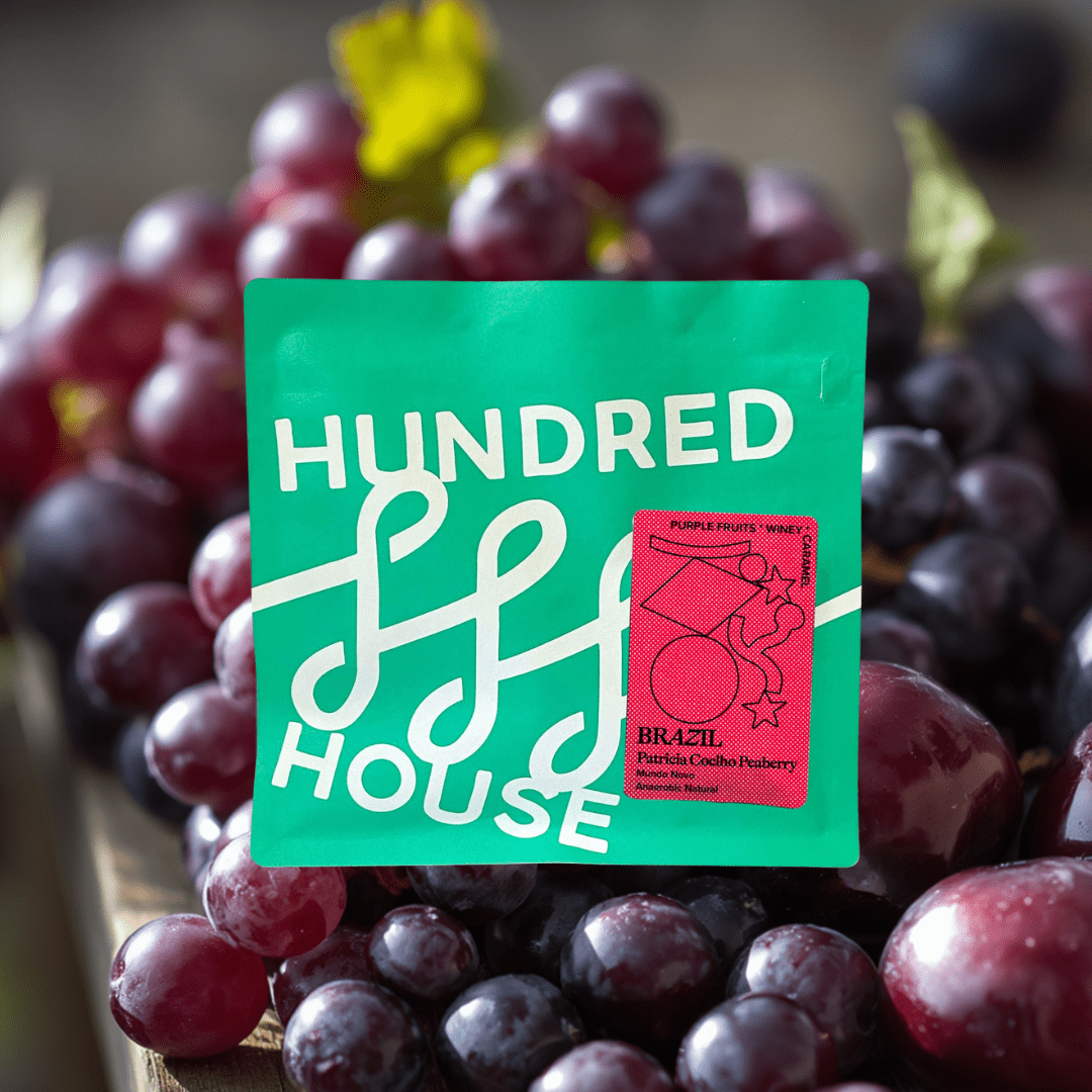 Hundred House Brazil