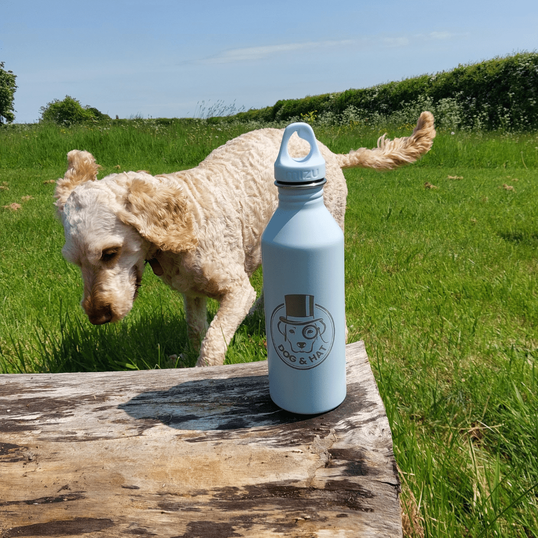 Mizu Dog and Hat Water bottles - Dog & Hat Coffee