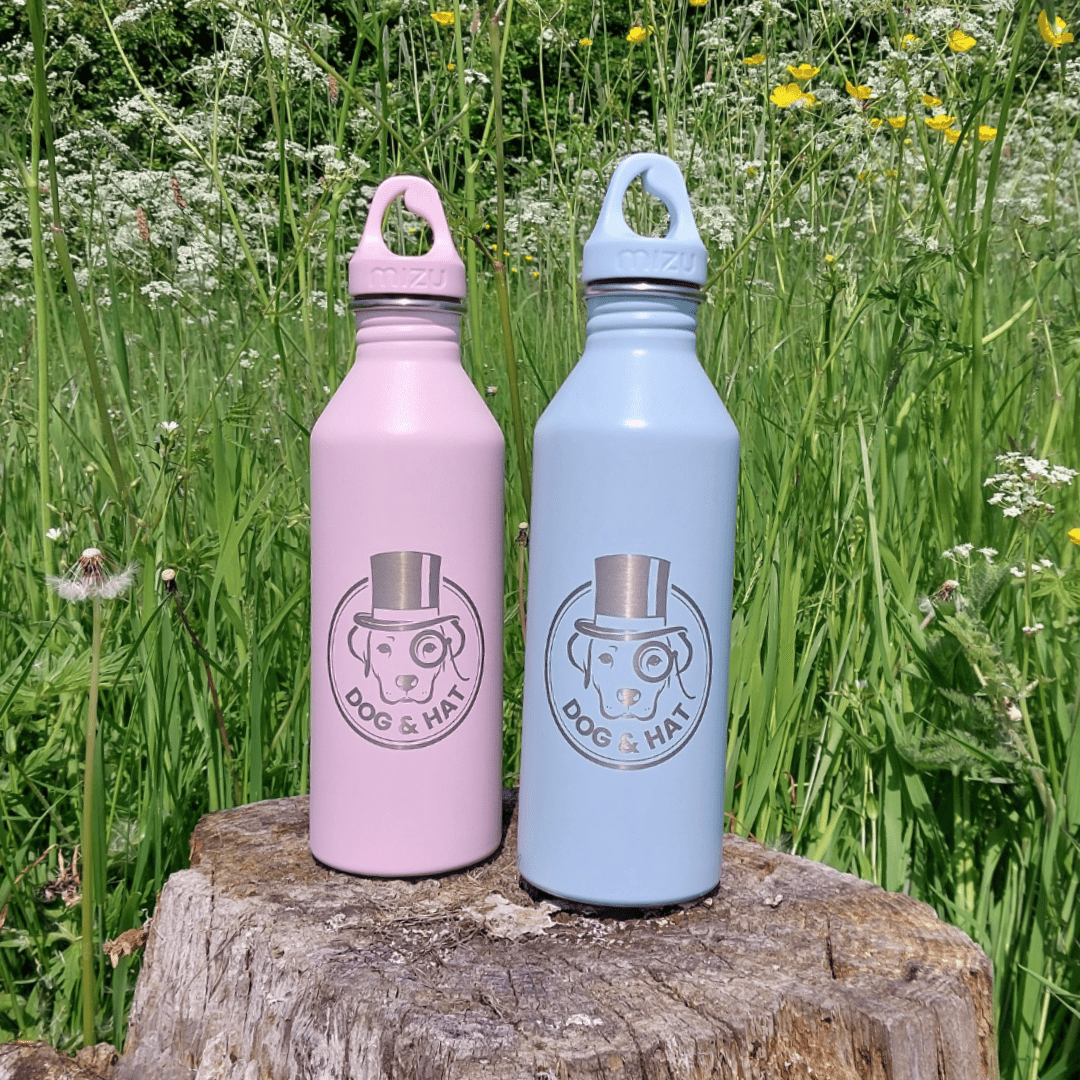 Mizu Dog and Hat Water bottles - Dog & Hat Coffee