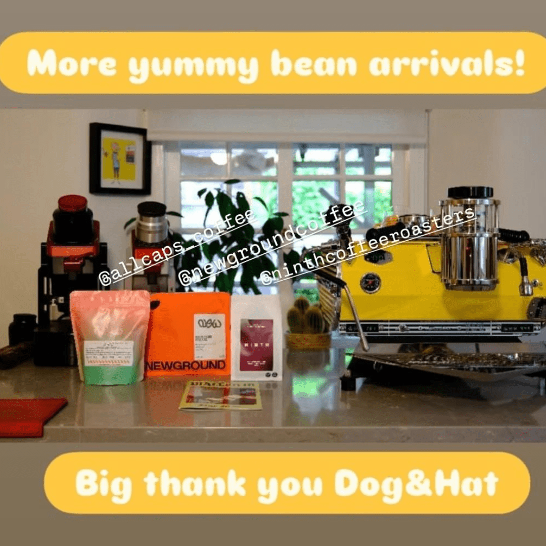 NO NATURAL ESPRESSO Subscription 3x 250g Coffees Monthly (FREE DELIVERY) - Dog & Hat Coffee Club