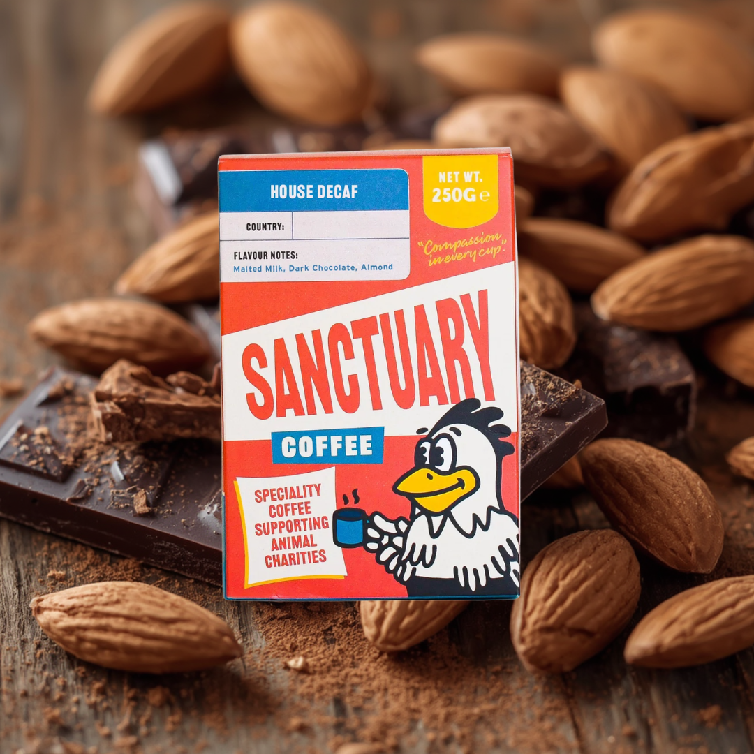 Sanctuary - House Decaf (DECAF)